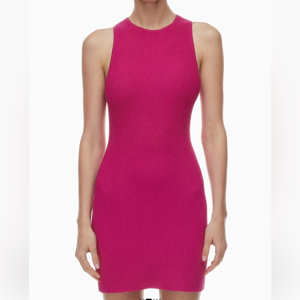 Aritzia Dress